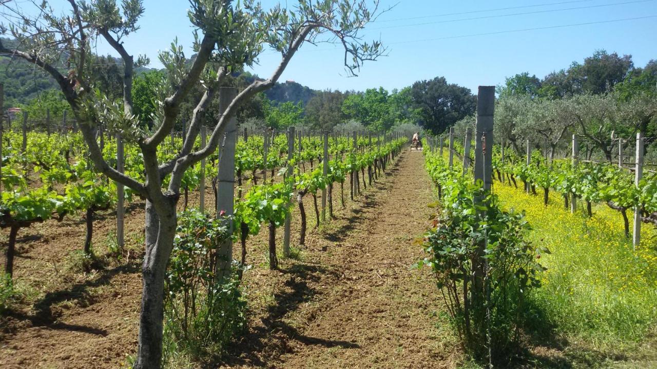 Agrilao Villa Scalea Eksteriør bilde